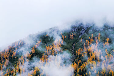 Bild mit Natur, Berge, Nebel, Baum, Herbstfärbung, Lerchen