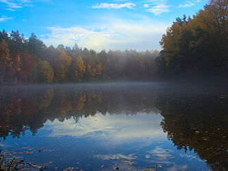 Bild mit Natur, Wasser, Herbst, Nebel, Wald, See