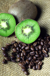 Kaffeebohnen Kiwi