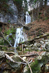 Wasserfall Fischbach
