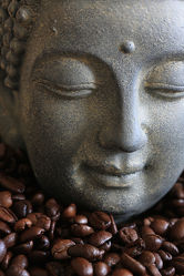 kaffee buddha