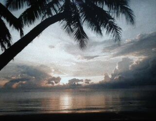 Bild mit Farben, Palmen, Sonnenaufgang, Meer, Palme, Spiegelung, Thailand, Kokospalme