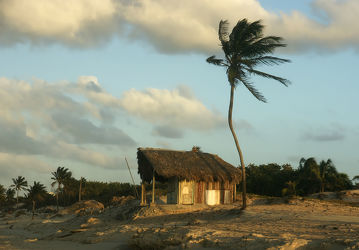 Bild mit Strand, Hütte