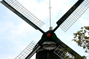 Bild mit Windmühlen