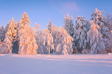 Bild mit Winter, Schnee, Eis, Sonnenuntergang, Sonnenaufgang, winterlandschaft, Landschaften im Winter, Kälte, Frost