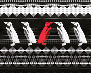 der rote Pinguin