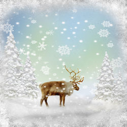 Bild mit Schnee, Weihnachten, Winter & Weihnachtszeit, Winterzeit, Frost