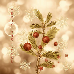 Bild mit Winter, Weihnachten, Weihnachten, xmas, Christmas, Weihnachtszeit, Weihnachtsgrüße, Festtage, grußkarte, festlich, feliz navidad