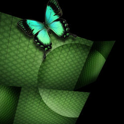 Grüne Abstraktion mit Schmetterling
