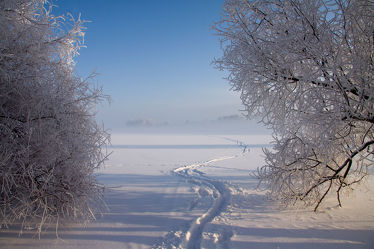 Bild mit Landschaften, Bäume, Winter, Schnee, Landschaft, Weihnachten, Winterzeit, Frost