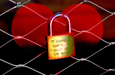 Love u-lock on the fence2