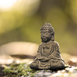 Bild mit Natur, Wald, Meditation, Ruhe, Entspannung, Buddha, Wellness, Spa, Erholung, Yoga, zen