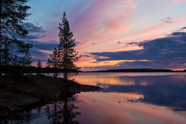 Bäume am See Lentua, Finnland 2
