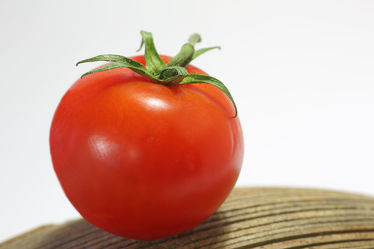Bild mit Tomate, Tomaten