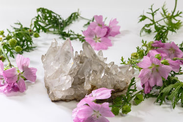 Rosenmalve und Bergkristall