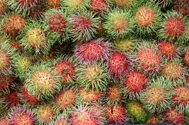 mbutan - exotische Frucht (Nephelium lappaceum)