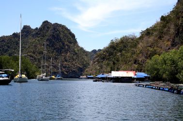Bootsfahrt durch die Mangroven von Langkawi