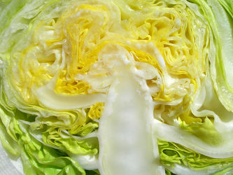 Kopfstruktur - Eisbergsalat - Salat
