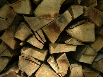 Holzstapel im Wald - Holzscheitel