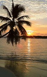 Bild mit Sonnenuntergang, Palmen, Sonne, Meer, Paradies, Blaues Wasser, Entspannung, Malediven, ozean, Indischer Ozean, Traumstrand, weißer Sand, Pavillon