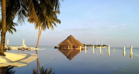 Bild mit Wasser, Sand, Palmen, Sonne, Strand, Meer, Palme, Paradies, Entspannung, Malediven, Relaxen