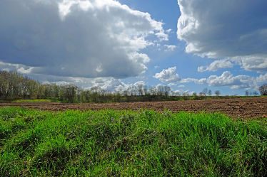 Bild mit Landschaften, Bäume, Wolken, Frühling, Sträucher, Felder, Wiesen, Regen, landwirtschaft, Mais, Korn, Feldbestellung, Bauern