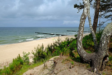 Bild mit Himmel, Bäume, Wolken, Birken, Strand, Meer, Strand / Meer, Ostseeküste, Steilküste, Polen