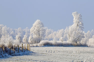 Bild mit Himmel, Bäume, Schnee, Felder, Winterzeit, Wiesen, Raureif, Dunst, Wolkenlos