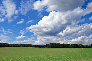 Bild mit Himmel, Bäume, Wolken, Sommer, Landschaft, Felder, Naturschutz, Knicks