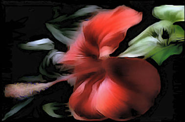 Bild mit Natur, Blütenzauber, blütenkompositionen, Digital Art, Digitale Kunst, Abstraktes in Floral, Digitales Farbenspiel, Blumiges