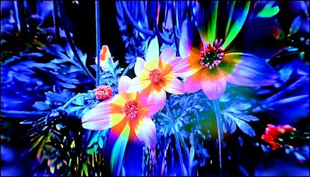 Bild mit Digital Art, Blumiges, Digitale Blumen