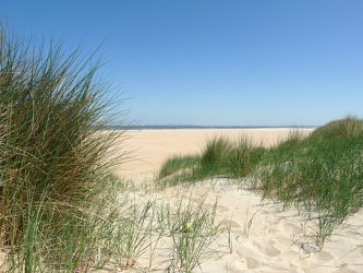 Bild mit Natur, Landschaften, Sand, Sandstrand, Ostsee, Meer, Landschaft, Düne, Dünen, Dünengras, Am Strand, Strandhafer