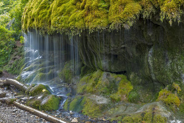 moosbedeckter Wasserfall
