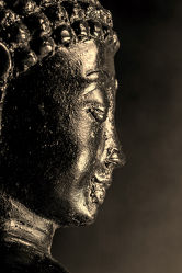 Bild mit Makro, Licht, Blick, Buddha, monochrom, Portrait, nahaufnahme, Religion, Gesicht, Glauben, Schatten, figur, künstlich