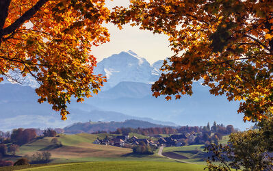 Bild mit Landschaften, Berge, Herbst, Dörfer, Alpen, Herbstblätter, Schweiz, Herbstlandschaften, Gurten, Berner Mittelland