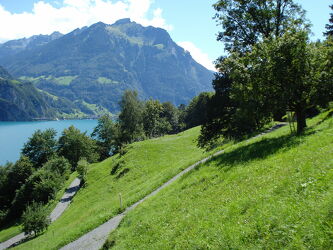Schweizer Berg Natur