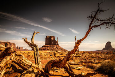 Bild mit Landschaften, USA, wüstenlandschaft, USA Nationalparks