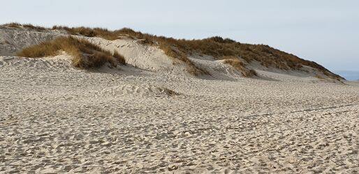 Strand mit Dünen
