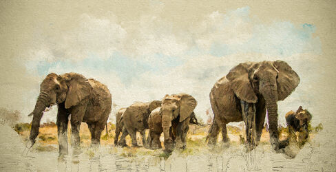 Bild mit Tiere, Elefant, Afrika, Herde, Nationalpark, Jungtier, safari, digital, Painting