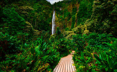 Holzsteg zu einem Wasserfall auf Maui, Hawaii